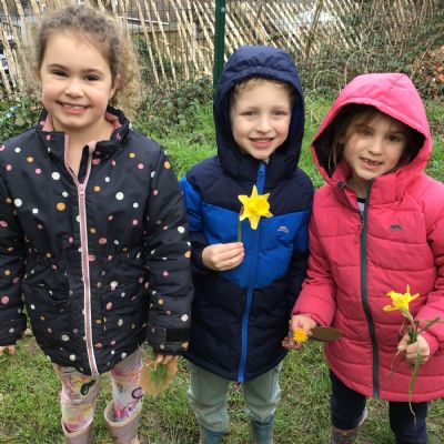 Term 3 forest school
